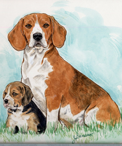 beagle pup and mom